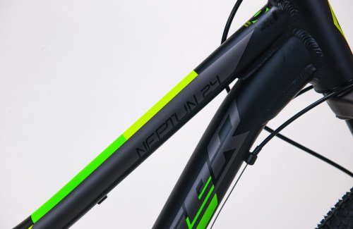 Fulger_Neptun_721242881_2