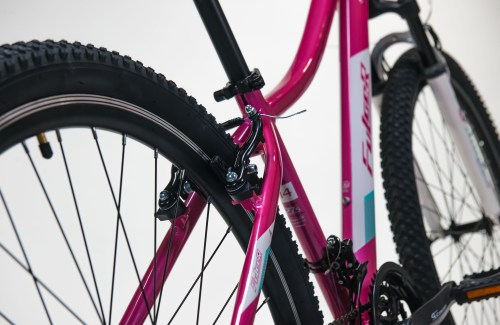 Fulger_Venus_721272141_10