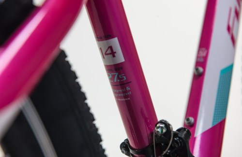 Fulger_Venus_721272141_12